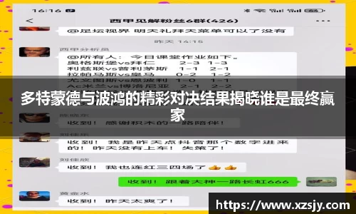 多特蒙德与波鸿的精彩对决结果揭晓谁是最终赢家